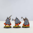 Dunlending Huscarls (3 miniatures) Painted - Painted Mini |MinisKeep