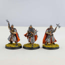 Dunlending Huscarls (3 miniatures) Painted - Painted Mini |MinisKeep
