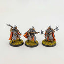 Dunlending Huscarls (3 miniatures) Painted - Painted Mini |MinisKeep