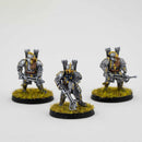 Iron Hills Dwarves with Crossbows Painted - Painted Mini |MinisKeep