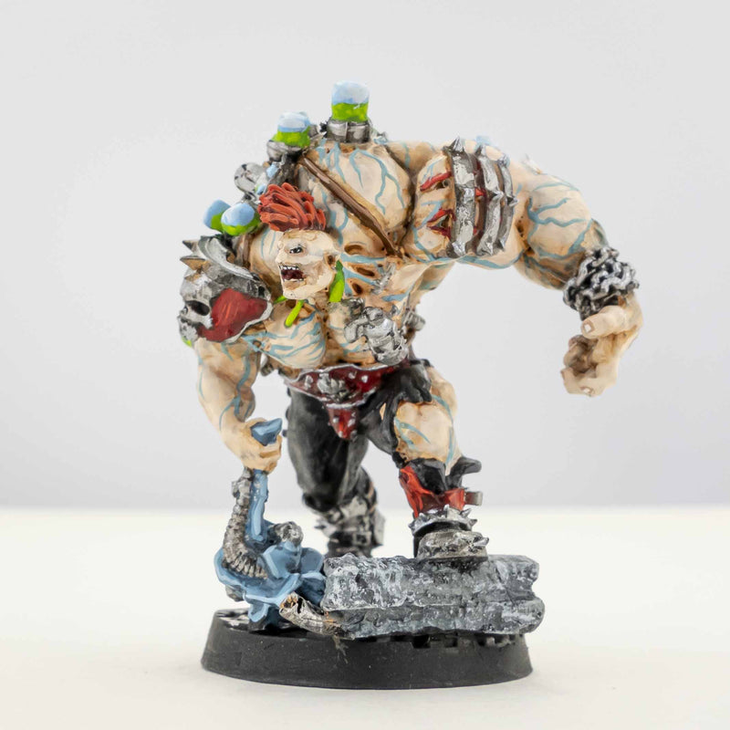 Painted Goliath 'Zerker MinisKeep 